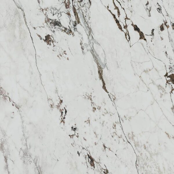 Perpetual - Echantillon – Image 6